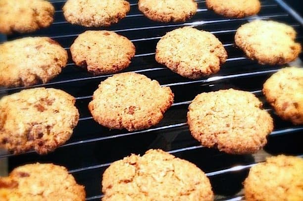 Chocolade kokos koekjes